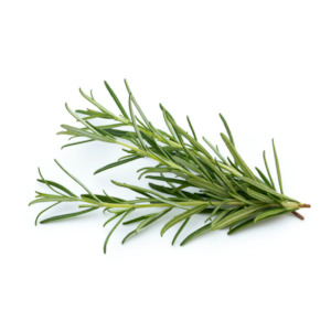 Hydrosol Mist Spray: Rosemary Leaf Hydrosol