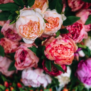 Home Fragrance 1: Magnolia & Peony Fragrance