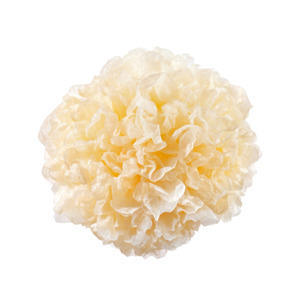 Ingredients 1: Snow Mushroom Cellular Extract