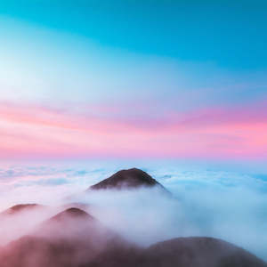 Fragrance Oils: Serenity Natural Fragrance