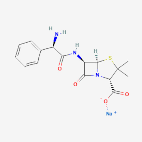 Ampicillin (Sodium)