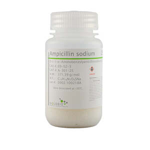 Ampicillin (Sodium) USP Grade