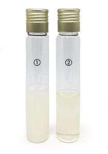 Microscopy: Marine Broth