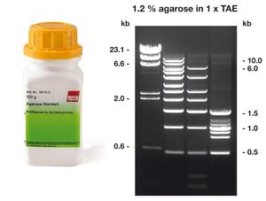 Carl Roth: Agarose, DNAse-free, RNase-free