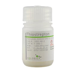 Gold Biotechnology: Thiostrepton - Molecular Biology Grade