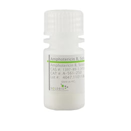 Amphotericin B, Solubilized - MOLBIO