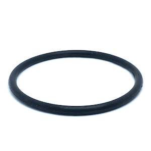 Resin Filters: PUREWASH™ O-Ring for Fibreglass Tanks
