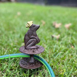 Cast Iron Frog King | Hosepipe Guide
