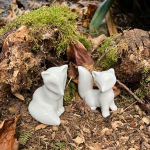 Gardening For Children: Mr & Mrs Fox | Set of 2