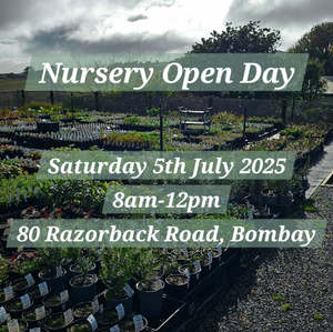 Nursery Open Day Booking