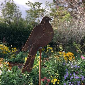 Kereru | Garden Stake