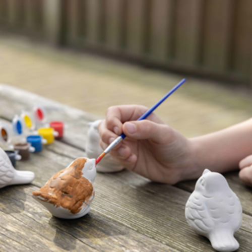 Giftware: Kids Paint Your Own Birds