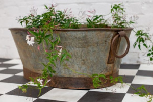 Oval Iron Pot w/handle | Large