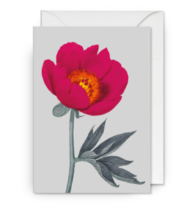 Silver in Hope | Card