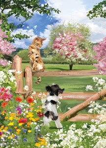 Cat on Fence | Card