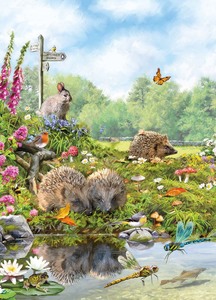 Hedgehogs | Card