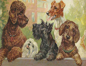 Vintage Gift Card | Looking Over The Fence | Madame Treacle