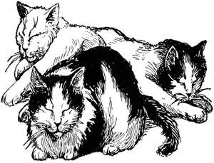 Gift Cards: Sleeping Cats | Little Vintage