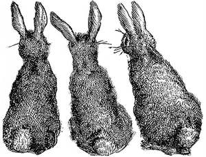 Gift Cards: Rabbits Viewing The Carrot Patch | Little Vintage