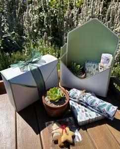 Gift Box | Succulent Plant + Giftware