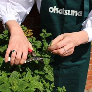 Garden Essentials: Okatsune Needle Nose Snips