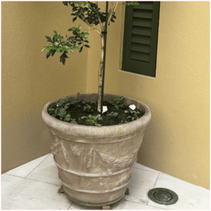 Garden Essentials: Antique Terracotta Swag Planter Pots | Set Of 4