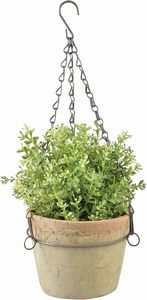 Garden Essentials: Aged Terracotta With Natural Mosses Hanging Pot