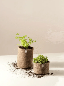 Garden Essentials: The Wool Pot | Set Of 3