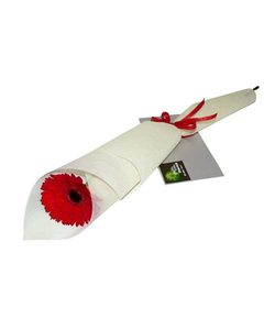PuttsGreen Gift Vouchers Putts Green Florist Kerikeri