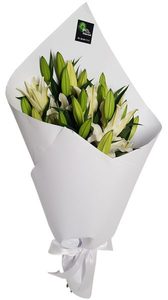 Products: White Lillies Putts Green Florist Kerikeri