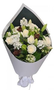 Products: White Christmas Putts Green Florist Kerikeri