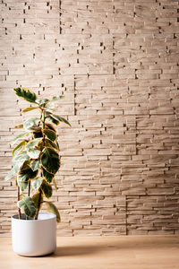 Products: Ledgestone - Sand - Pyramid Panels