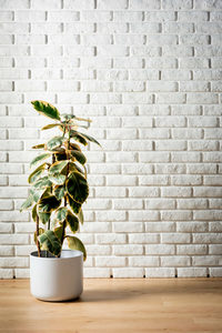 Brickstone - White - Pyramid Panels