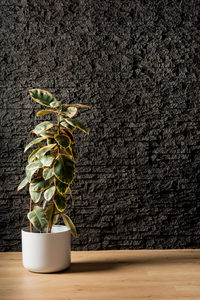 Stackstone - Black - Pyramid Panels