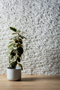 Products: Stackstone - White - Pyramid Panels