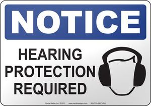 Training: Hearing Safety