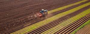 Products: Following tine to suit Duncan (upper) - Quality Ag Parts