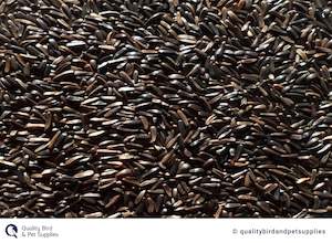 Bird Seed: Niger - Topflite