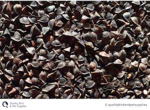 Bird Seed: NZ Buckwheat - Topflite