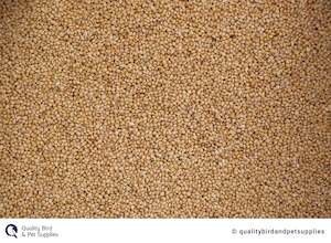 Bird Seed: Panicum - Topflite