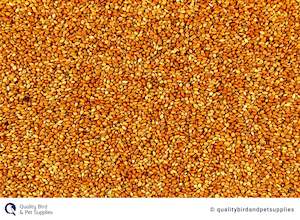 Bird Seed: Red Panicum - Topflite