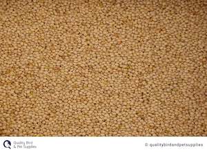 Bird Seed: White French Millet - Topflite