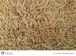 Bird Seed: NZ Whole Oats - Topflite