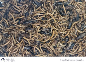 Poultry 1: Insect Medley 125g