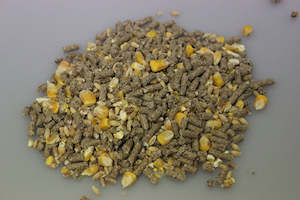 Poultry 1: Super Chook Mix