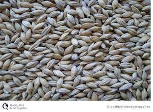 Poultry 1: Barley NZ