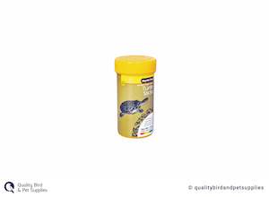 Fish Turtles: Reptile One Turtle Sticks