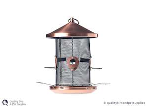 Bird Wild Bird: Bird Bistro -Topflite