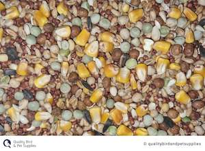 Bird Pigeon: Premium Pigeon Young Bird Race Mix