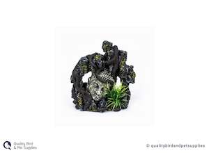 Fish Turtles Accessories: AquaWorld Angkor Wat